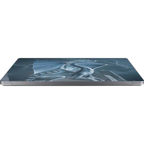 Silver Dragon by Vincent Hie Laptop Skins